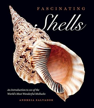 Fascinating Shells An Introduction to 121 of the World's Most Wonderful Mollusks