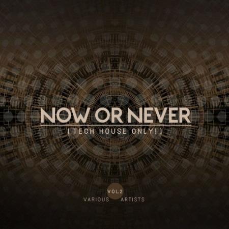 Now Or Never, Vol. 2 (Tech House ONLY!) (2022)