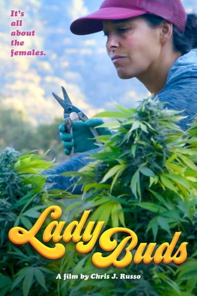 Lady Buds (2021) [720p] [BluRay] 