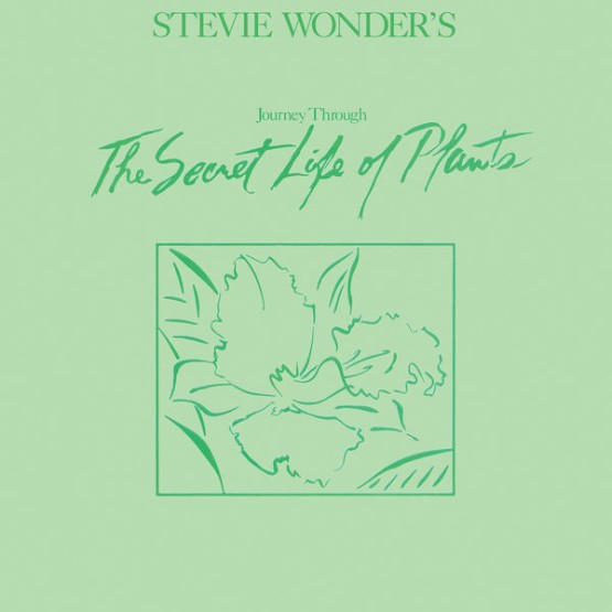 Stevie Wonder - Journey Through The Secret Life Of Plants (1979) [24B-96kHz]