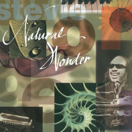 Stevie Wonder - Natural Wonder (Live1995) (1995) [16B-44 1kHz]