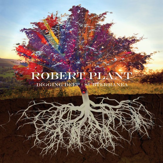 Robert Plant - Digging Deep Subterranea (2020) [16B-44 1kHz]