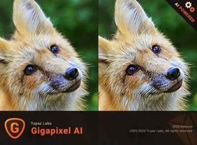 Topaz Gigapixel AI 6.0.0 (x64)