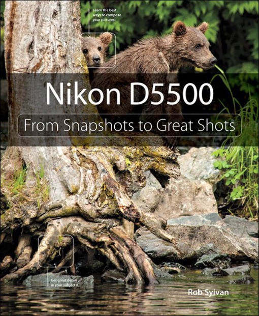 Nikon D5500 From Snapshots to Great Shots (9780134185538)