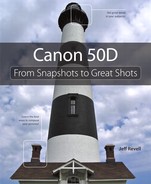 Canon 50D From Snapshots to Great Shots (9780321637277)