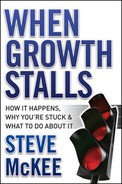 When Growth Stalls (9780470395707)