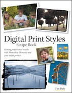 Digital Print Styles Recipe Book (9780321573261)