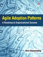 Agile Adoption Patterns (9780321579447)