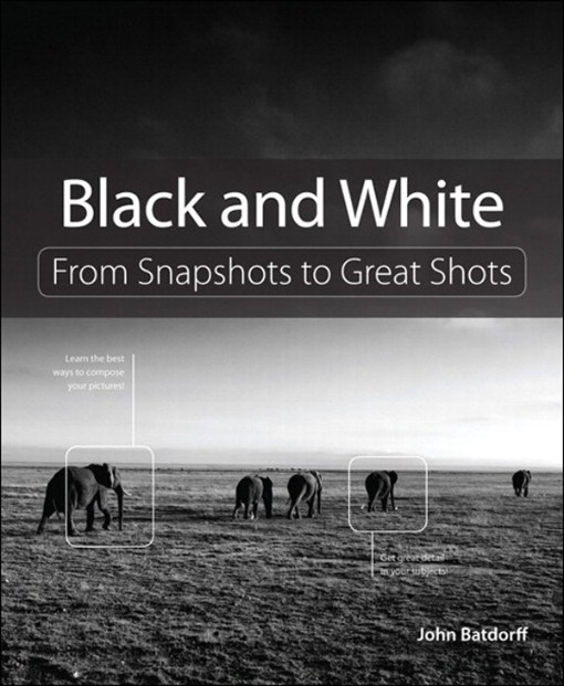 Black and White From Snapshots to Great Shots (9780132763110)