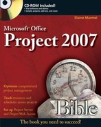 Microsoft® Project 2007 Bible (9780470009925)