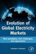 Evolution of Global Electricity Markets (9780123978912) Evolution of Global Electricity Markets (9780123978912)