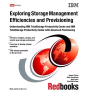 Exploring Storage Management Efficiencies and Provisioning - Understanding IBM TotalStorage Produ...