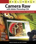 Real World Camera Raw with Adobe Photoshop CS4 (9780321618436)