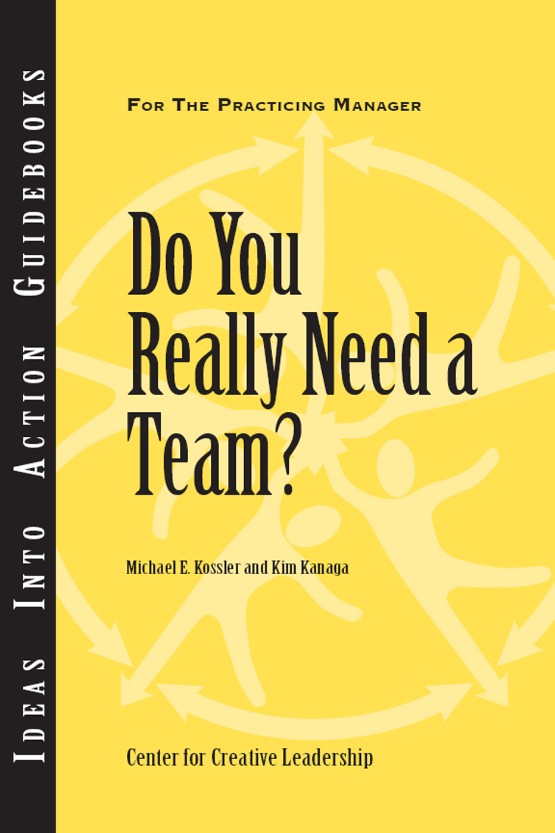 Do You Really Need a Team  (1882197666)