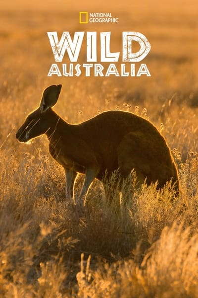 Wild Australia S01 1080p DSNP WEBRip DDP5 1 x264 NTb 