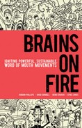 Brains on Fire Igniting Powerful (9780470614181)