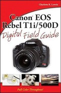 Canon® EOS Rebel T1i 500D Digital Field Guide (9780470521281)