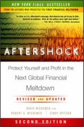 Aftershock Protect Yourself and Profit In The Next Global Financial Meltdown (9781118127520)