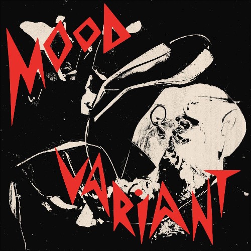Hiatus Kaiyote, Arthur Verocai - Mood Variant (The Remixes) (2022)