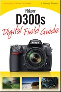 Nikon® D300s Digital Field Guide (9780470521274)