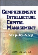 Comprehensive Intellectual Capital Management (9780471275060)