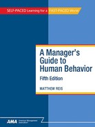 A Manager's Guide to Human Behavior Fifth Edition (9780761212416)