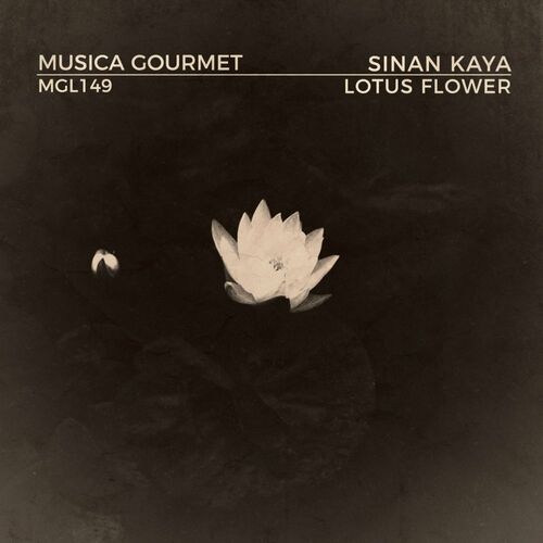 Sinan Kaya - Lotus Flower (2022)