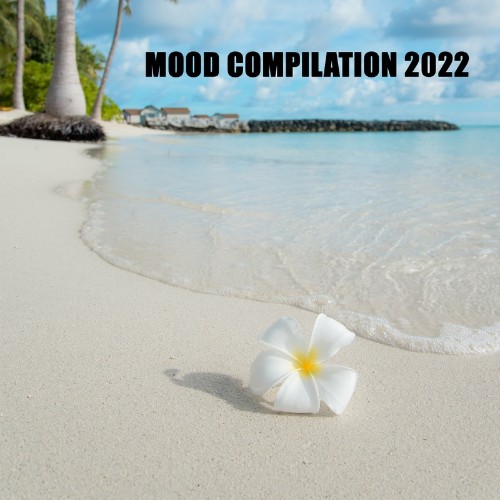 Mood Compilation 2022 (2022)