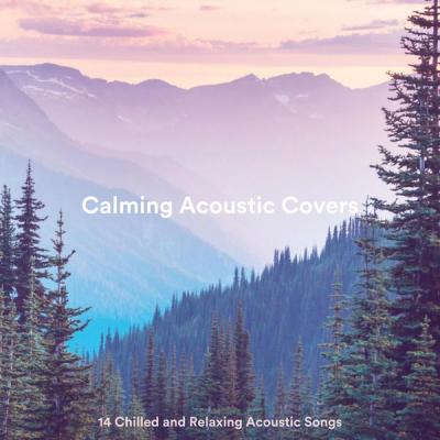 Various Artists - Calming Acoustic Covers 14 Chilled and Relaxing Acoustic Songs (2021)