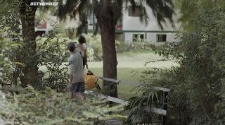 Ноэми Гольд (2019)