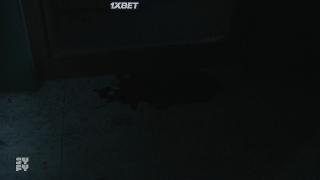 Кровавая вечеринка (2021)