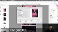 Adobe Acrobat: быстрый старт (2021) Мастер-класс