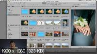 Adobe Photoshop 2021: Adobe Bridge (2021) Мастер-класс