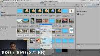 Adobe Photoshop 2021: Adobe Bridge (2021) Мастер-класс