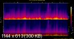 12. The Yoga Studio - Summer.flac.Spectrogram.png