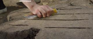 Я согласна (2020)