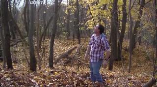 Хроники Косгроува (2019)