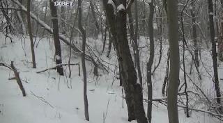 Хроники Косгроува (2019)