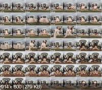 MiflVR - Chanel Preston - My Play Toy (FullHD/1080p/2.66 GB)