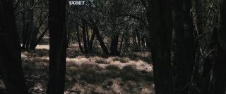 Война в Плезант Вэлли (2021)