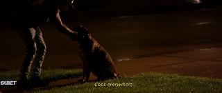 Крути педали (2020)