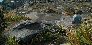 Мужество (2020)