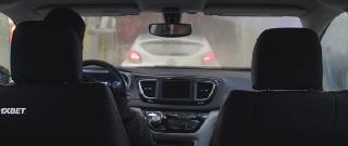 Двойница (2021)