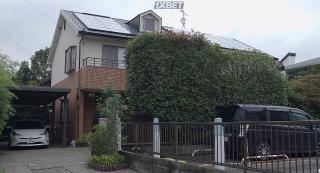 Случайность и догадка(2021)