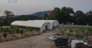 Свободная земля (2020)