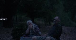 Свободная земля (2020)