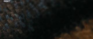 Сын монархов (2020)