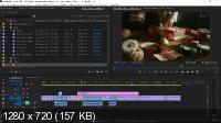 Adobe Premiere Pro - Быстрый Старт (2021/PCRec/Rus)