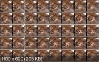 WankitnowVR - Ashley Rider - Explicit Images (UltraHD/2K/1920p/2.99 GB)