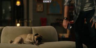 Большой красный пес Клиффорд (2021)